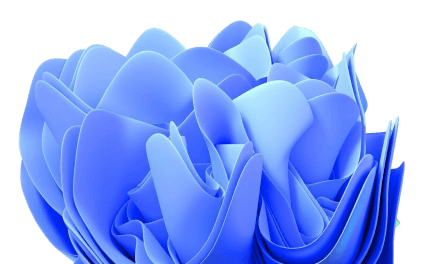 FREEMIUM background